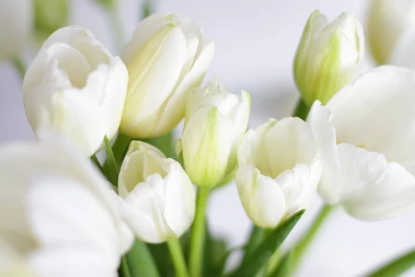 Biały Bukiet Tulipanów Wazonie Pokoju Piękne Kwiaty Obecne Marca Walentynki — Zdjęcie stockowe