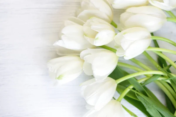 Weiße Frische Tulpen Auf Holzgrund Schöne Zarte Frühlingsblumen Auf Holzstruktur — Stockfoto