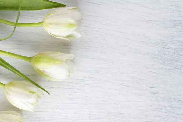 Weiße Frische Tulpen Auf Holzgrund Schöne Zarte Frühlingsblumen Auf Holzstruktur — Stockfoto