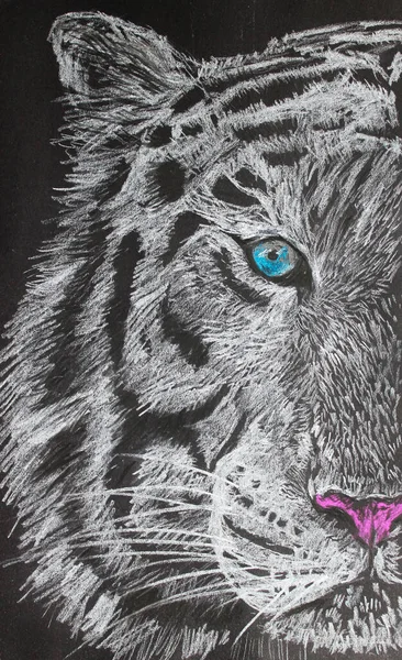 Tigre Blanco Dibujo Con Crayones Pastel Cara Tigre — Foto de Stock