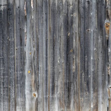 Tahta duvar dokusu. Görünüm oranı 1x1.