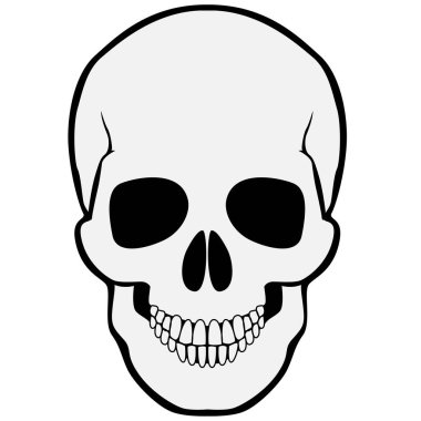 Beyaz arka planda insan kafatası.