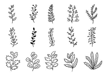 Beyaz arkaplanda farklı şekilli el yapımı yaprak dalları..