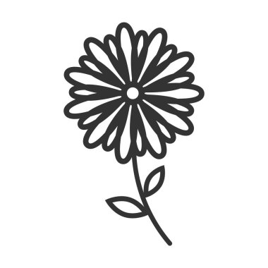 Taslak kasımpatı çiçekleri simgesi beyaz arkaplanda izole edilmiş düz stil tasarım vektör çizimi.