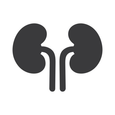 Şeffaf biçim arkaplanı üzerinde böbrek gövdesi parçası simgesi izole edilmiş düz stil tasarım vektör çizimi.