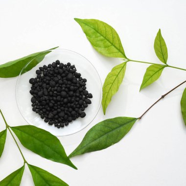 Yüzyıllardır çiftçilik için gübre olarak kullanılan yarasa gübresi. Toprağın daha fazla besin ve su depolaması için toprak yapısını (toplam) geliştirebilir ve bu nedenle daha verimli hale gelir.