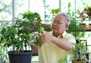 Emekli büyükbaba tatilini kapalı alanda bahçeyle ilgilenerek geçirdi..