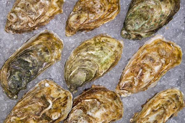 Viele Austernarten Werden Auf Die Eisschale Gelegt Wie Folgt Geordnet — Stockfoto