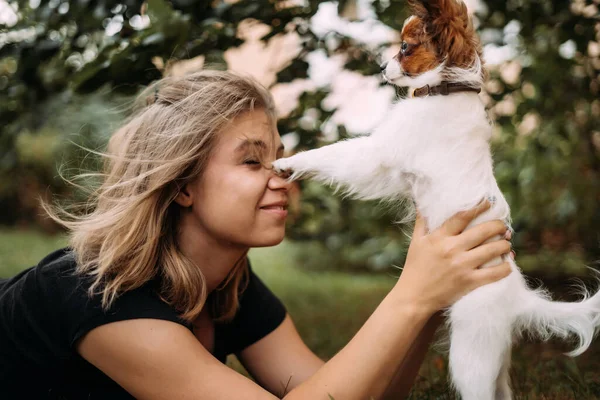 Žena leží na trávě a drží malé štěně, bílý a červený hnědý papilon hraje. — Stock fotografie