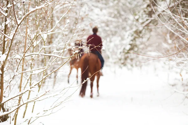 Téli havas erdő. A háttérben homályos lovasok ülnek lóháton.. — Stock Fotó
