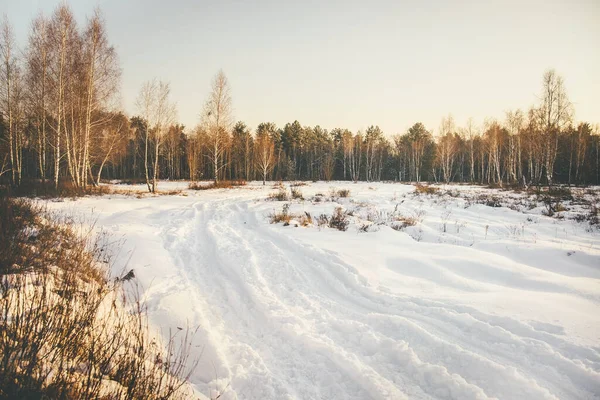 Krajobraz Lasu Pola Pokrytej Śniegiem Drogi Leśnej Słoneczny Zimowy Dzień — Zdjęcie stockowe