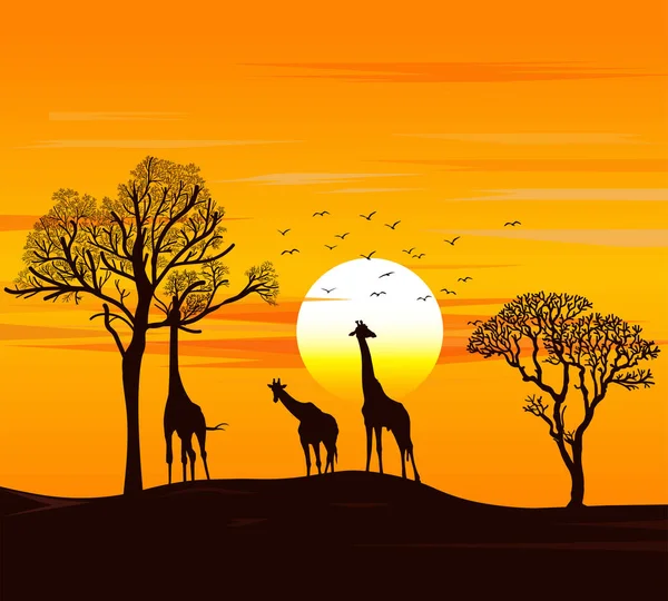 Afrikaans Savana Gezien Zonsondergang — Stockvector