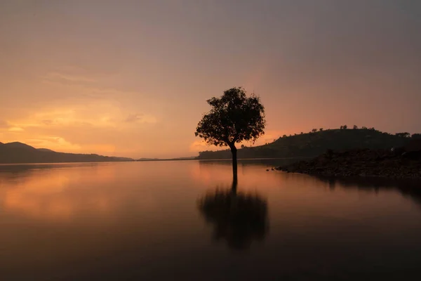 Tramonto Igatpuri Con Cielo Dorato Silouetter Albero Maharashtra India — Foto Stock