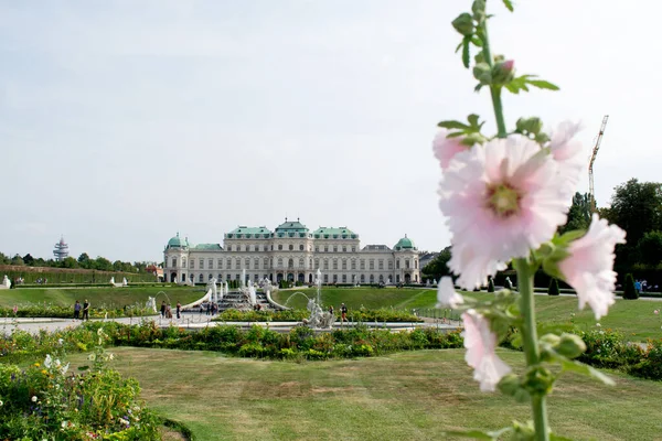 Jardines Con Palacio Belvedere Fondo Viena Austria — Foto de Stock