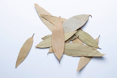 Yaprak Baharatı veya Talal Patra, Tarçın Tamala, Satara, Maharashtra, Hindistan