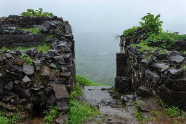 Yağmur mevsiminde Tikona Kalesi 'nin yıkılmış duvarları, Pune, Maharashtra, Hindistan. 
