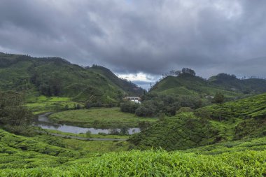 Küçük baraj ve çay çiftliği, Munnar, Kerala, Hindistan