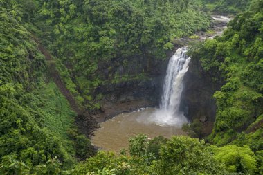 Dabhosa şelalesi, Jawhar, Thane, Maharashtra, Hindistan, Mumbai yakınlarındaki en yüksek şelalelerden biri.