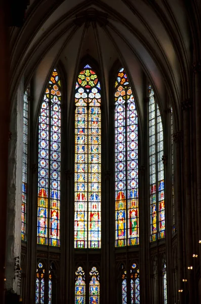 Glasfönster Katedralen Köln Nordrhein Westfalen Tyskland Europa — Stockfoto