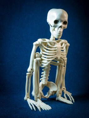 Bir iskelet karanlık bir arkaplanda çömeliyor..