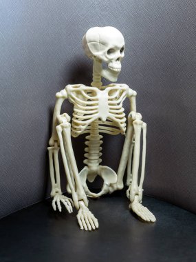 Bir iskelet karanlık bir arkaplanda çömeliyor..