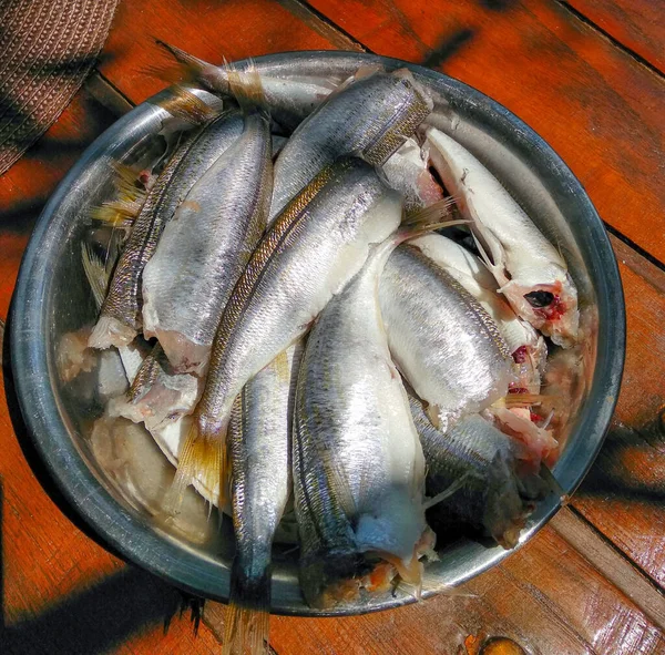 Ikan Yang Baru Ditangkap Berada Dalam Mangkuk Atas Meja Kayu — Stok Foto