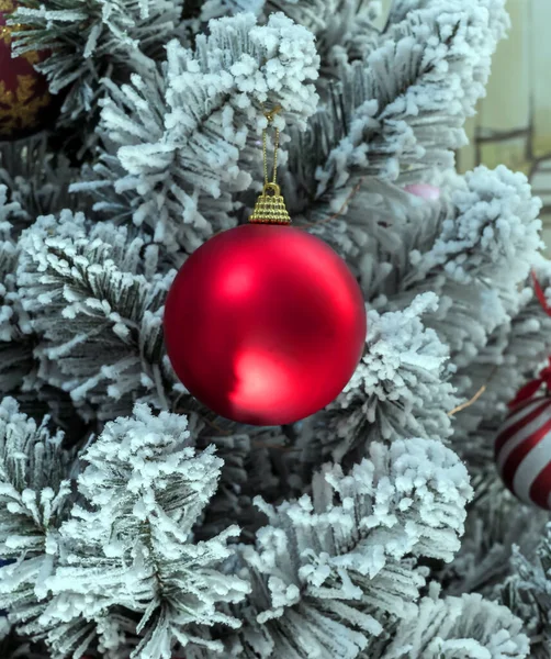 Decorações Natal Estão Árvore Natal Bola Vermelha Uma Árvore Natal — Fotografia de Stock