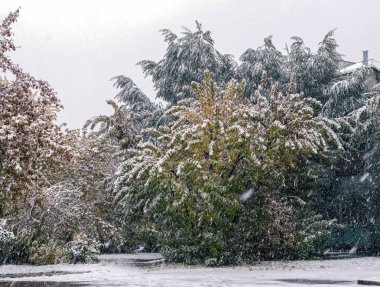Şehirde erken kar yağışı