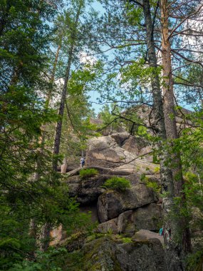 İleri dağcılık ve dağcılık için yüksek orman kayaları.