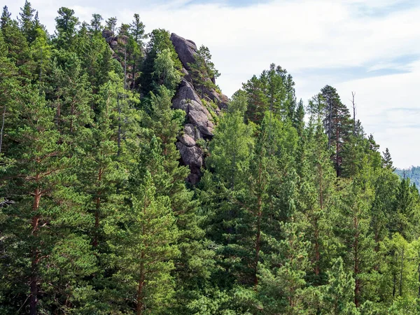 High Forest Rocks Advanced Hiking Alpinism — Fotografia de Stock