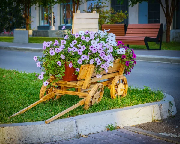 Bloemenbed Ontworpen Als Een Kleine Kar Een Straat Stad Rechtenvrije Stockfoto's