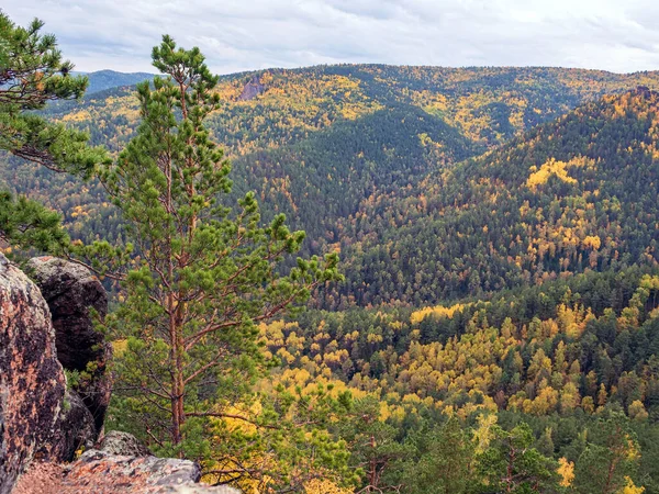 Vista Árvores Coloridas Montanhas Floresta Floresta Outono Brilhante Colorida — Fotografia de Stock