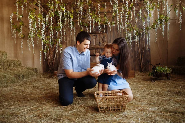 Family in the village, with rabbits in their arms. little boy with mom and dad. white rabbits — Stock Photo, Image