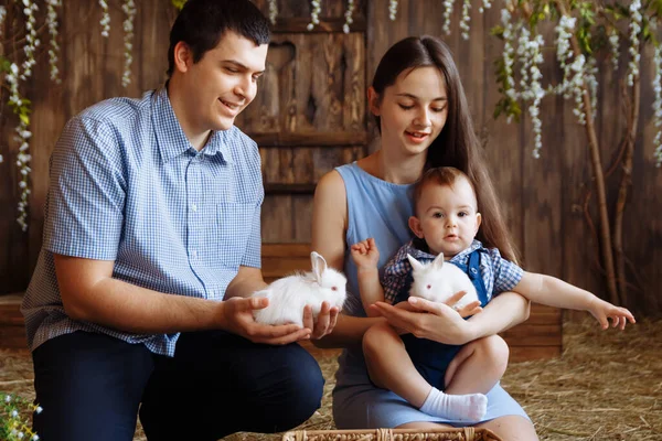 Family in the village, with rabbits in their arms. little boy with mom and dad. white rabbits — Stock Photo, Image