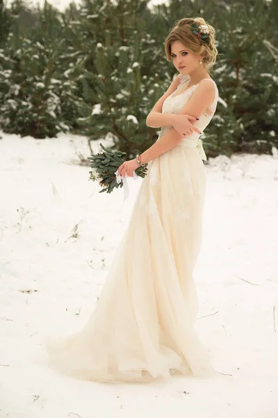 Mooi meisje met bloemen in haar haar in de winter, bruid, portret — Stockfoto