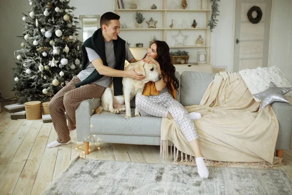 Mutlu çift kanepede köpekle oturuyor, Noel 'de. Evde yeni yıl. aile ve tarih — Stok fotoğraf