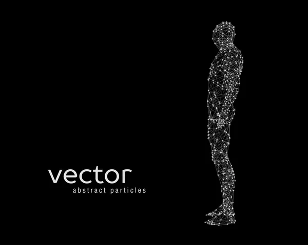 Vektorová ilustrace lidského těla — Stockový vektor