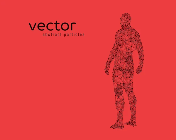 Ilustración vectorial del cuerpo humano — Vector de stock