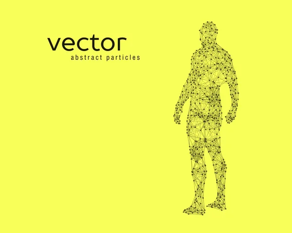 Векторні ілюстрації людського тіла — стоковий вектор