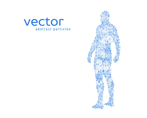 Vectorillustratie van het menselijk lichaam — Stockvector
