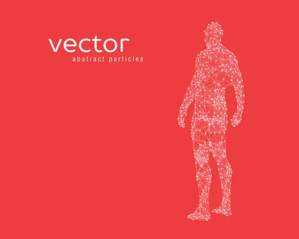 Gambar vektor dari tubuh manusia - Stok Vektor