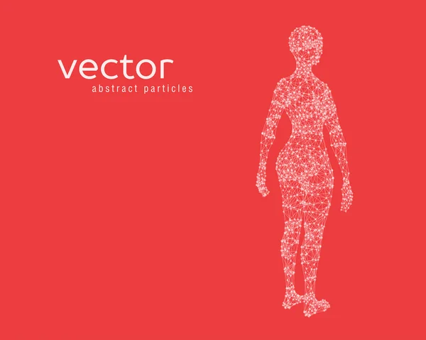 Ilustrasi vektor dari tubuh perempuan - Stok Vektor