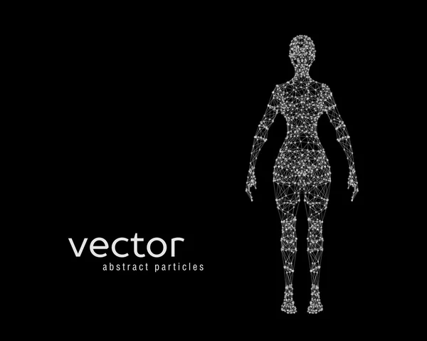 Векторні ілюстрації жіночого тіла — стоковий вектор