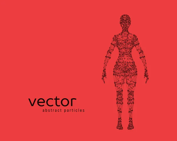 Векторні ілюстрації жіночого тіла — стоковий вектор