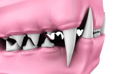 3D model döküm kedi diş.
