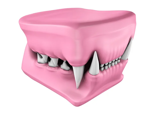 3d model of cat teeth cast. — Stock Photo, Image