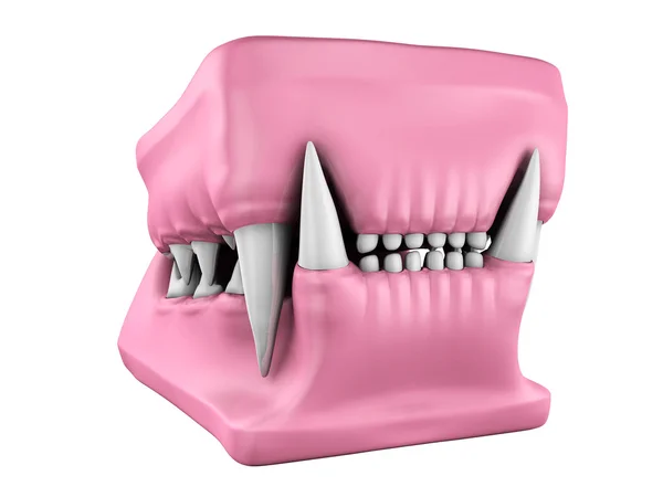 3D μοντέλο των δοντιών γάτα που ρίχνει. — Φωτογραφία Αρχείου