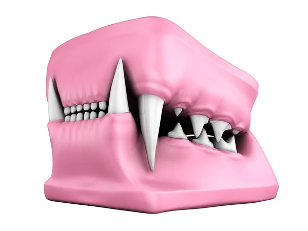 3D-modell av katt tänder kasta — Stockfoto
