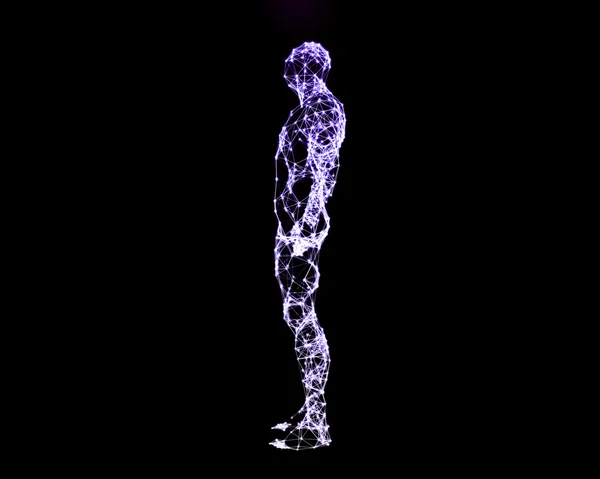 Цифрова ілюстрація людського тіла — стокове фото