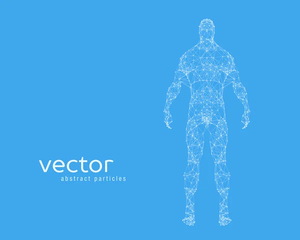 Illustrazione vettoriale del corpo umano — Vettoriale Stock